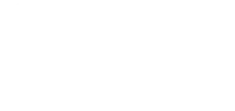 Weißes Jubiläums-Logo „32 Jahre Vetter Hauskrankenpflege“ mit den Leistungsbereichen Pflege, Beratung, Betreuung und medizinische Versorgung auf hellem Grund.